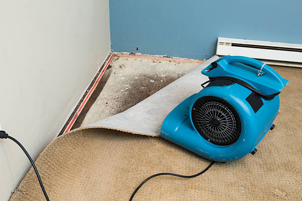 Best Carpet water damage restoration  in USA